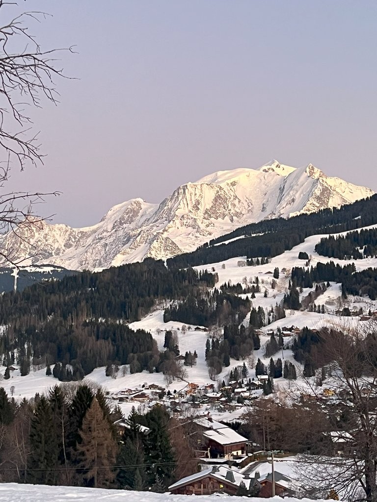 Vue Mont Blanc